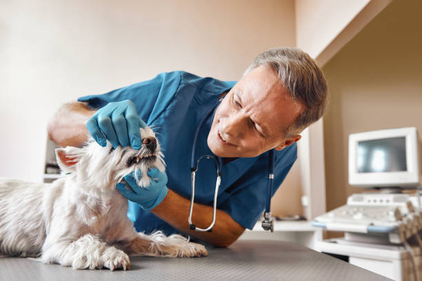 Best Weekend Emergency Dentist in Le Mars, IA
